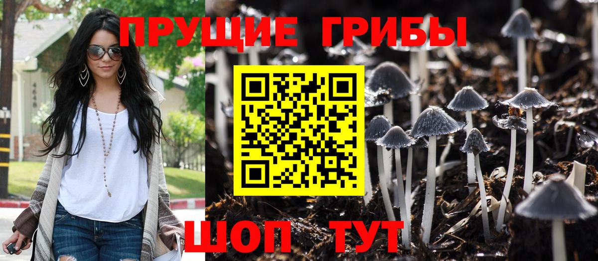 Галлюциногенные грибы прущие грибы  Вход с VPN  Тимашёвск 