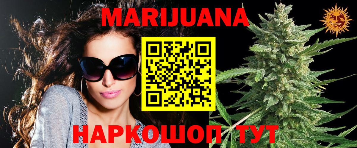 Каннабис сатива Тимашёвск